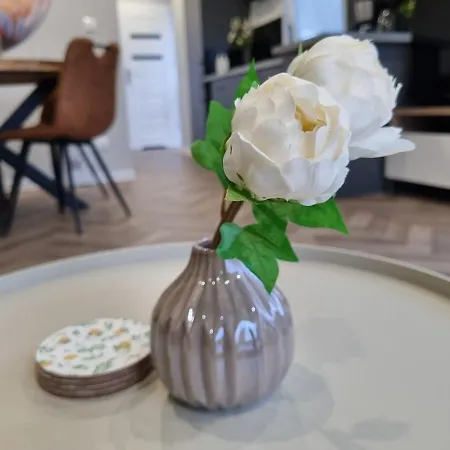 New And Spacious At The Veluwe Nunspeet