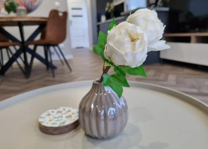 New And Spacious At The Veluwe Nunspeet